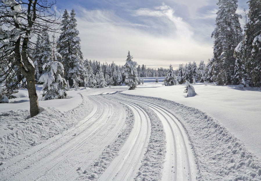 Landscape with ski trail in winter forest. Bear Valley, California, 2010.; Shutterstock ID 105568256