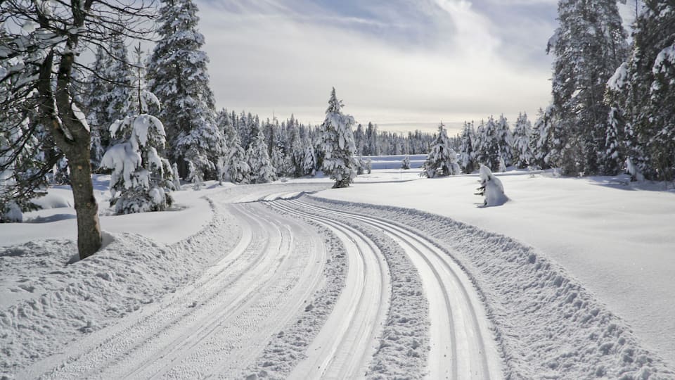 A snow-covered landscape with a winding road, snow-laden trees, and a distant body of water.