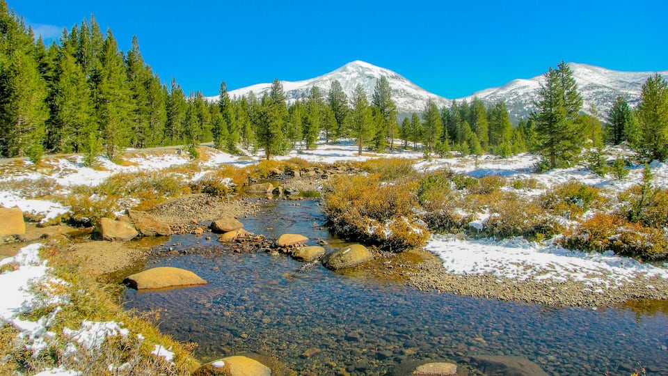 A clear mountain stream surrounded by snow-covered ground and evergreen trees.