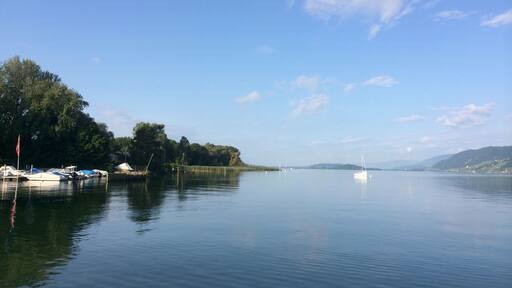 What a calming view at this campsite.