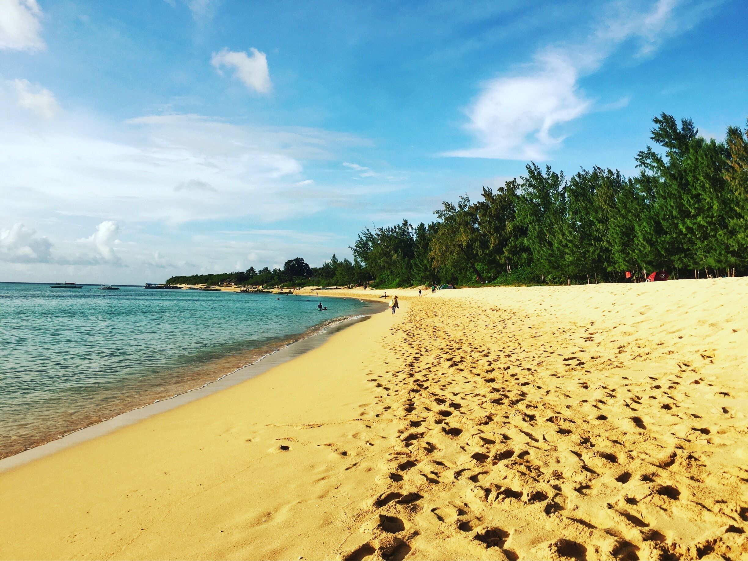A sandy beach with footprints, calm water, and a line of trees in the background.