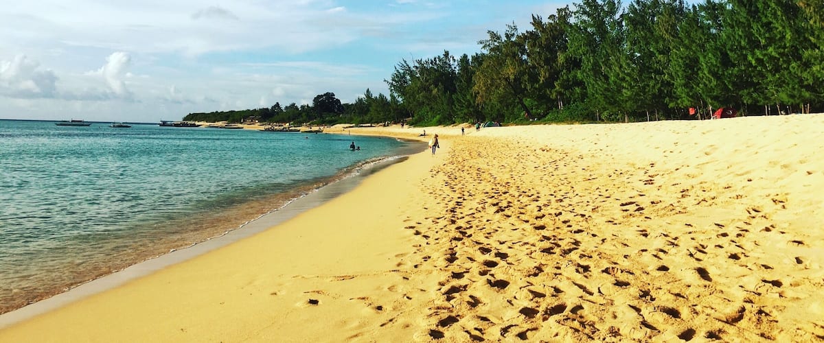A sandy beach with footprints, calm water, and a line of trees in the background.