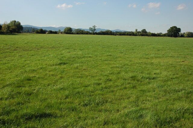 Eldersfield Marsh Eldersfield Marsh is a low lying floodplain to the south of the larger Longdon Marsh. Normally these meadows only flood during the winter, however, one month before this picture was taken this land was flooded in a rare summer flood. The Malvern Hills are on the horizon.