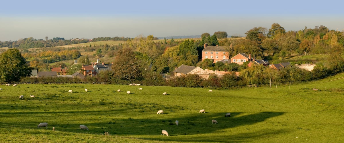 A rural landscape with a green field, sheep grazing, and houses in the background.