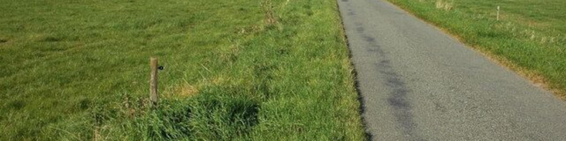 Road across Eldersfield Marsh This is a no through road to a few cottages and a couple of farms.