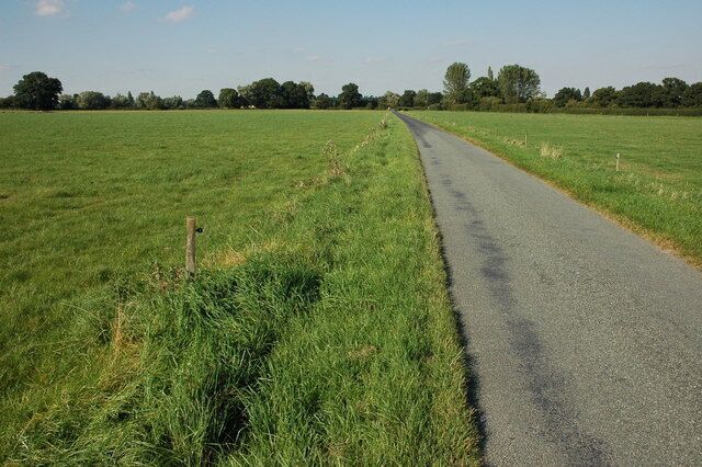 A rural road flanked by green fields and trees under a clear sky.