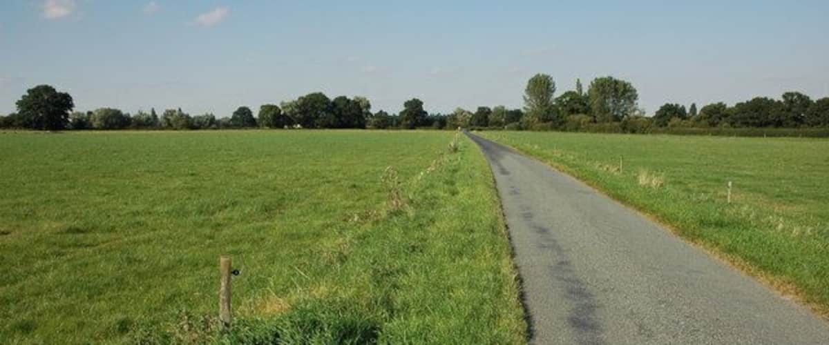 A rural road flanked by green fields and trees under a clear sky.