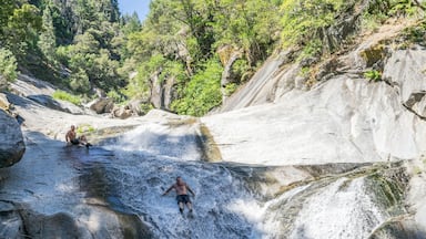 Una cascada se precipita sobre rocas hacia una poza de agua, rodeada de exuberante vegetación.