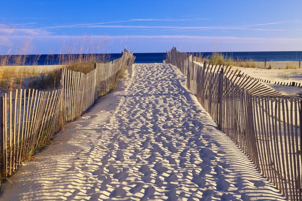 A sandy beach path with wooden fences and tall grasses.