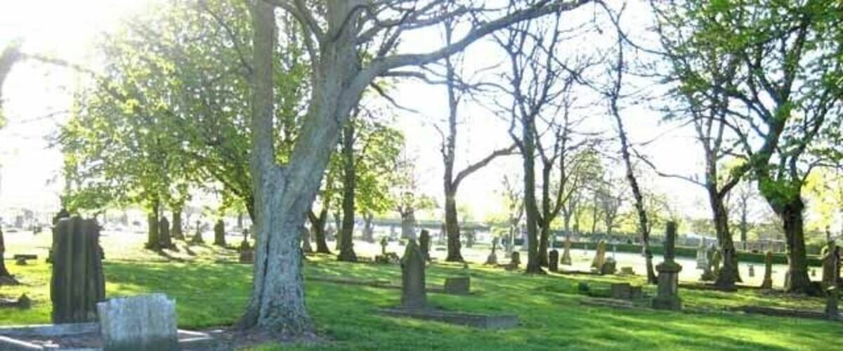 A cemetery with green grass, trees, and tombstones.