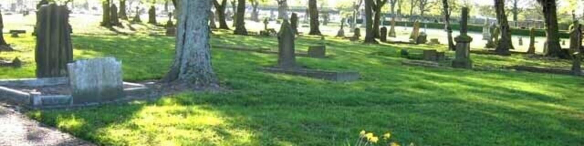 A cemetery with green grass, trees, and tombstones.