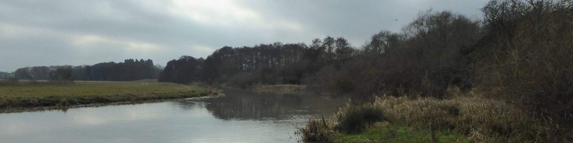 A calm river with grassy banks and trees in the background.