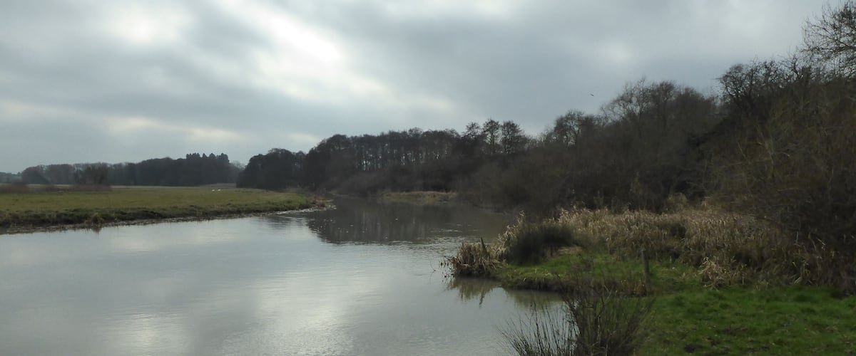 A calm river with grassy banks and trees in the background.