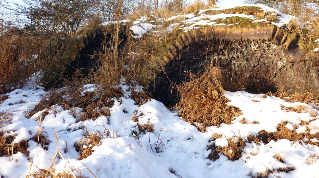 Beehive Coke Oven Remains of a group of Coking Ovens to rear of what is now 'Ponderosa'