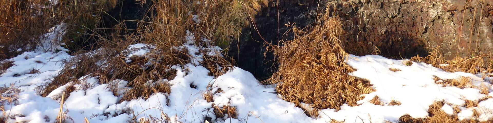 Beehive Coke Oven Remains of a group of Coking Ovens to rear of what is now 'Ponderosa'