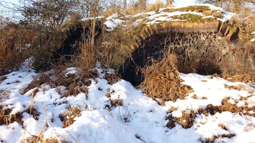 Beehive Coke Oven Remains of a group of Coking Ovens to rear of what is now 'Ponderosa'
