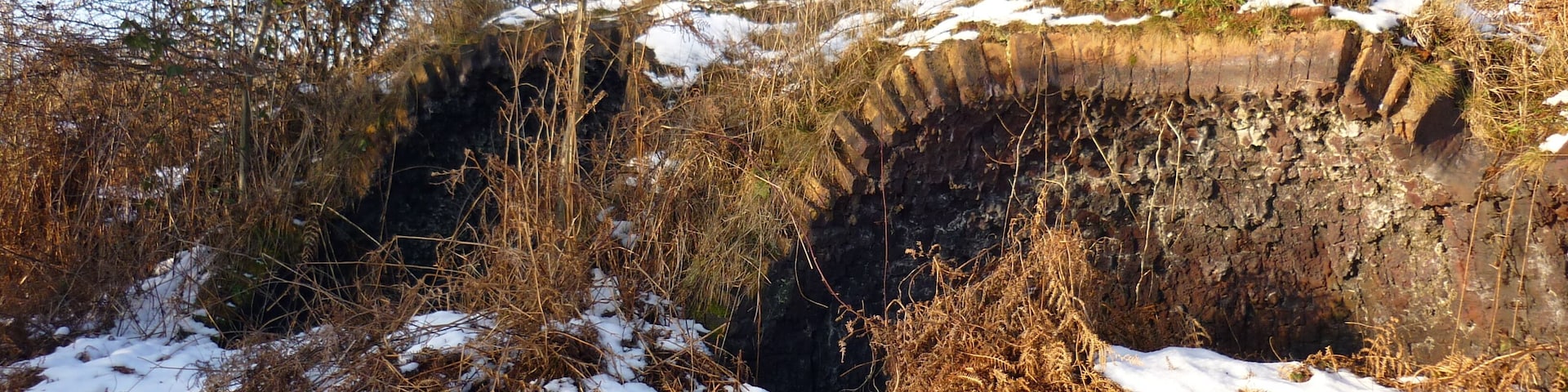 Beehive Coke Oven Remains of a group of Coking Ovens to rear of what is now 'Ponderosa'