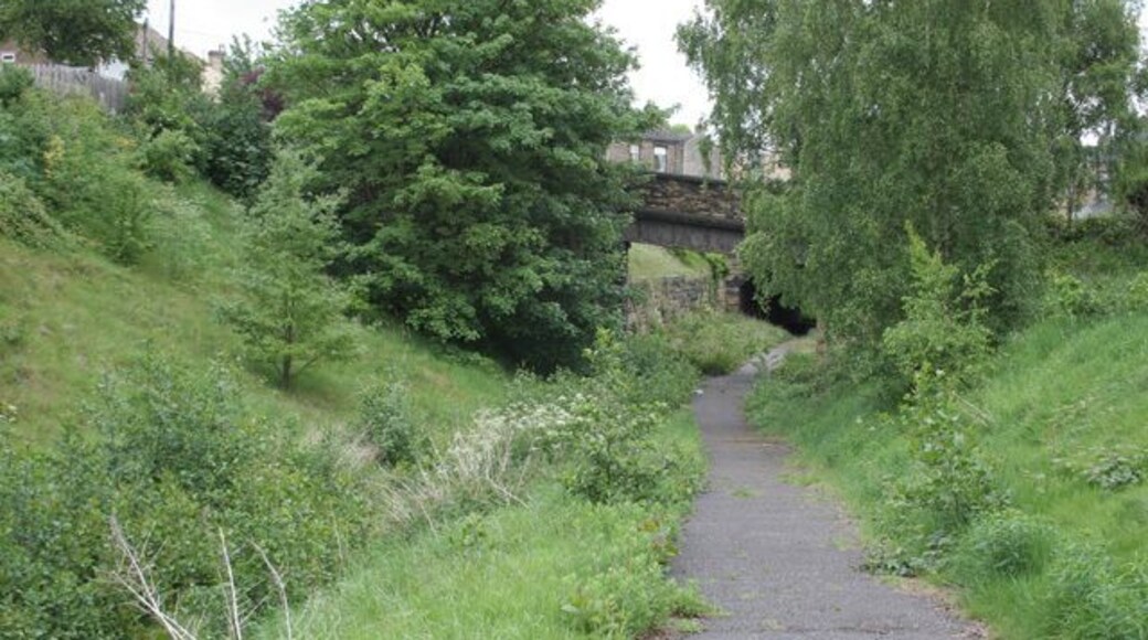 Spen Ringway Both the disused railways running through Heckmondwike have been converted into cycle- and footway. This is the upper line, now part of the Spen Ringway. The lower line is the Spen Valley Greenway http://www.sustrans.org.uk/webfiles/leaflets/SPEN%20VALLEY.pdf.