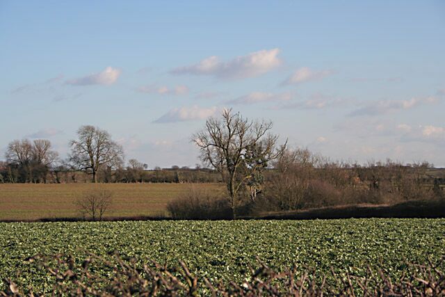 Farmland near Seagrave. Looking SE from Berrycott Lane.