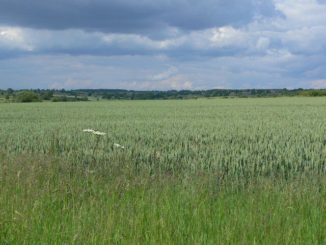 Farmland near Seagrave in Leicestershire