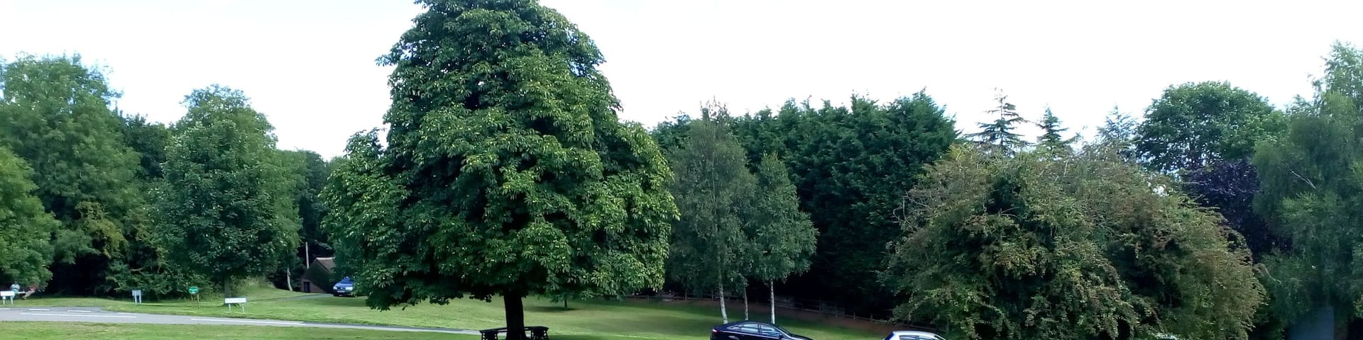 Seagrave in August 2017