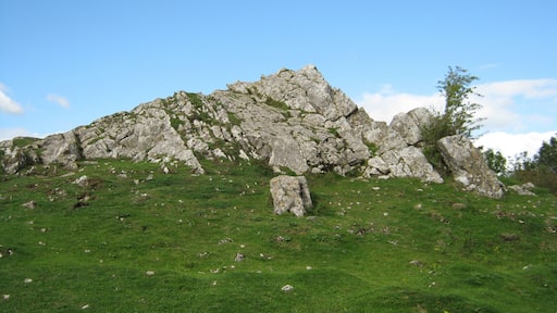 Burrington Ham, Long Rock.