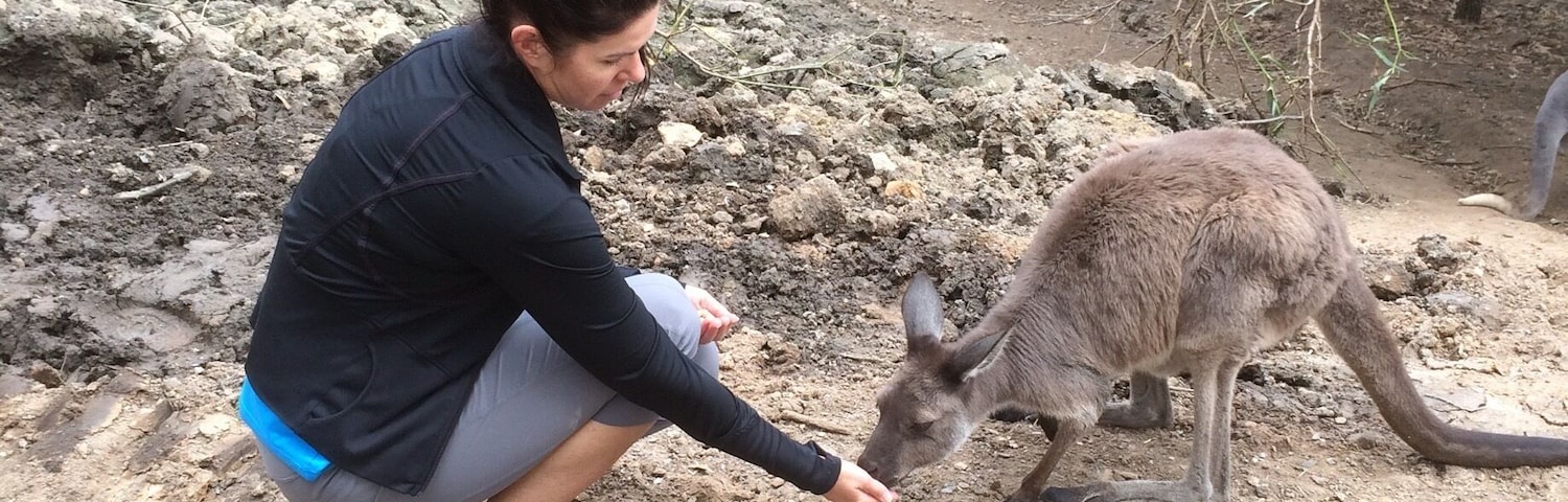 Feeding kangaroos!!! So cute, friendly, well looked after. Boy they move fast when they do go!