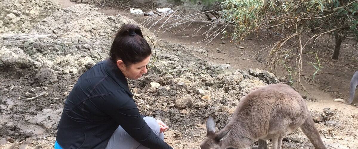 A person crouching and feeding a kangaroo in a rocky outdoor area with sparse vegetation.