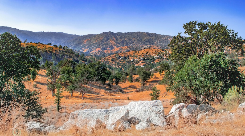 Near the Kern River and more so far away and there is beautiful as view nature.