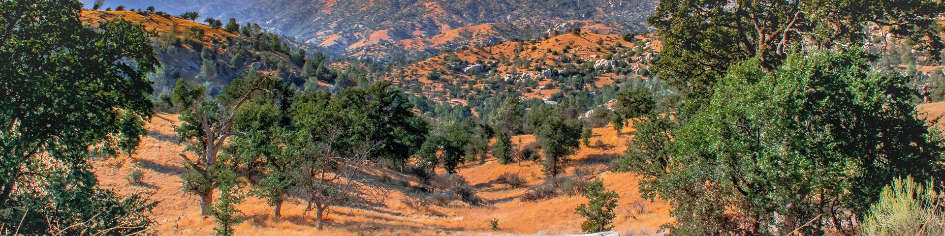 Near the Kern River and more so far away and there is beautiful as view nature.