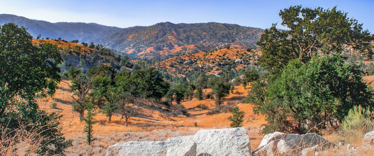 A mountainous landscape with rocky outcrops and scattered trees.