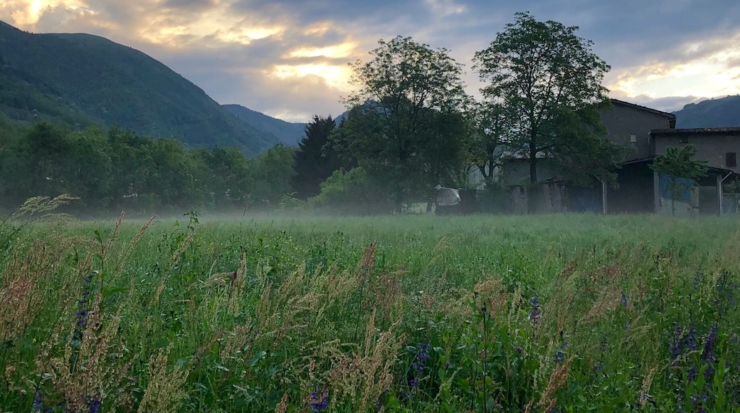 Yesterday I was walking to the bus stop at 6:38 and I took this amazing shootđ»