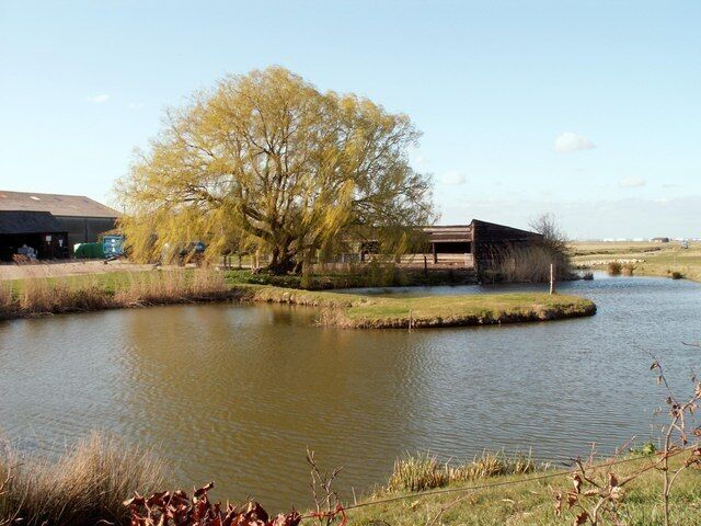 The pond at Marshgate Farm in Cooling