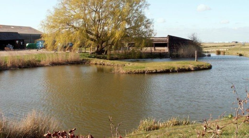 The pond at Marshgate Farm in Cooling