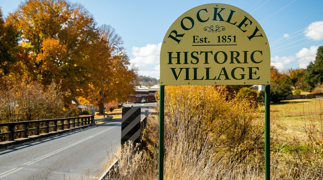 Rockley showing autumn leaves and signage