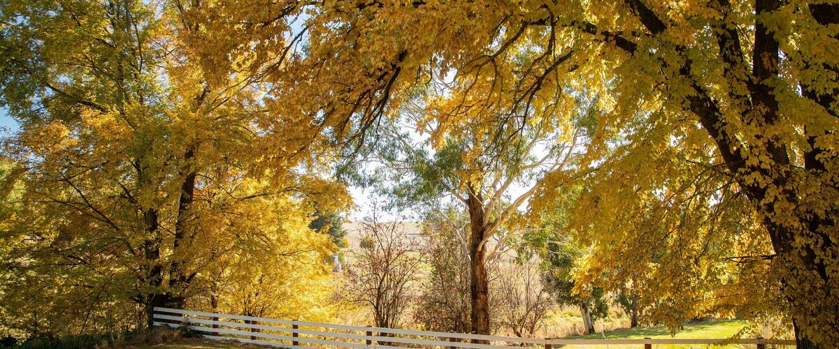 Rockley which includes a park