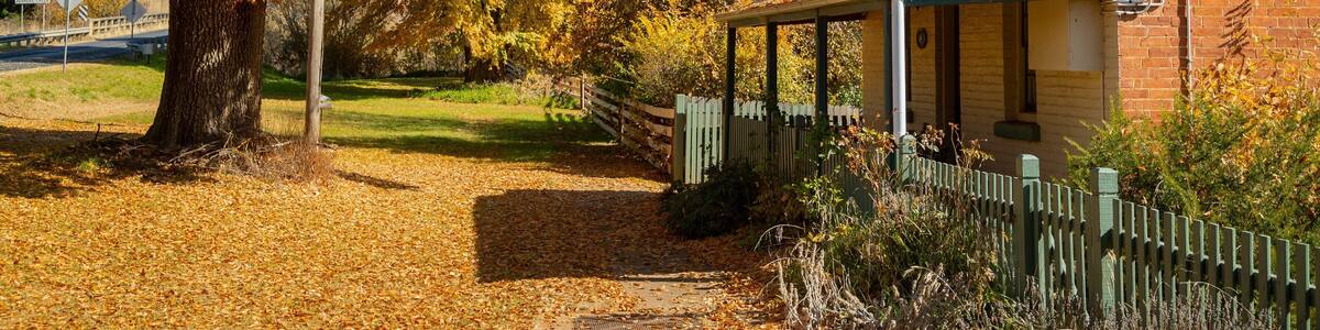 Rockley showing autumn leaves and a house