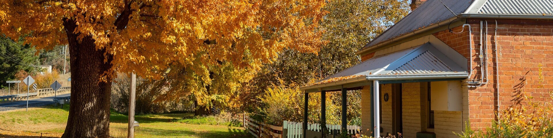 Rockley showing autumn leaves and a house