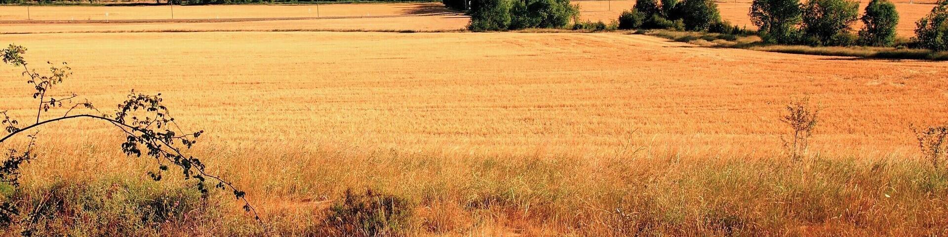 Our first day on St. James way! The view is astounding, the air is fresh and the spirit is high! We are following the Rio Aragon from Jaca to Arrés.
#caminodesantiago
DAY 2 - ARRÉS http://www.endoftherainbow.net/blogita/giorno4km25arres
