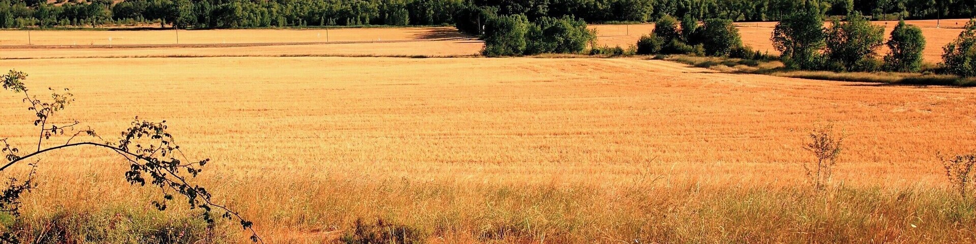 Our first day on St. James way! The view is astounding, the air is fresh and the spirit is high! We are following the Rio Aragon from Jaca to Arrés.
#caminodesantiago
DAY 2 - ARRÉS http://www.endoftherainbow.net/blogita/giorno4km25arres