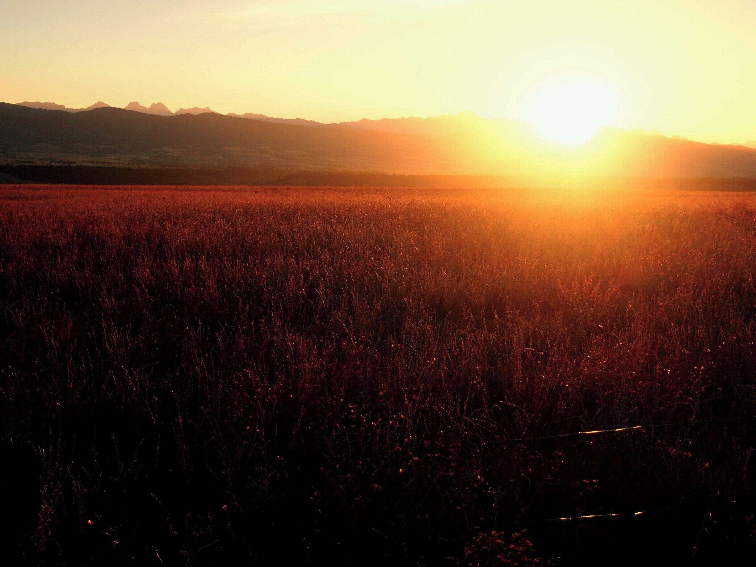 A sunset over a field with distant mountains.