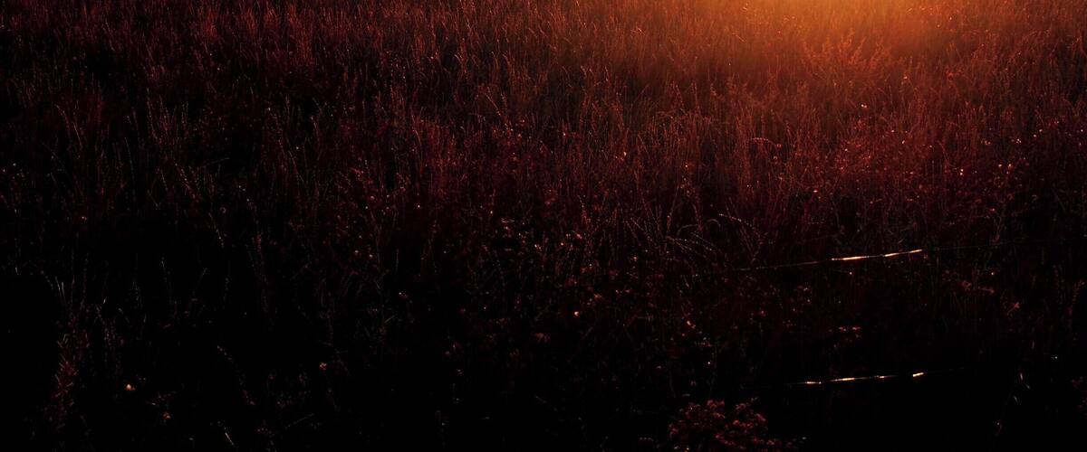 A sunset over a field with distant mountains.