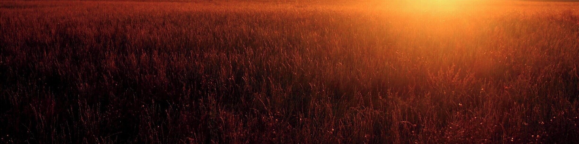 A sunset over a field with distant mountains.