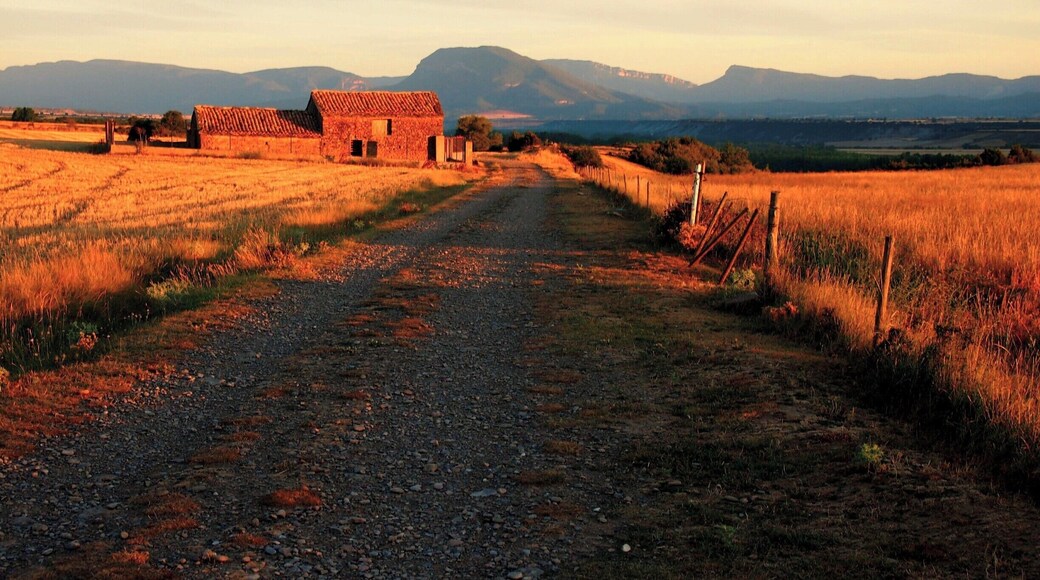 The beautiful amber light of dawn over the bucolic Aragona.
#caminodesantiago
DAY 3 - RUESTA http://www.endoftherainbow.net/blogita/giorno5km53ruesta