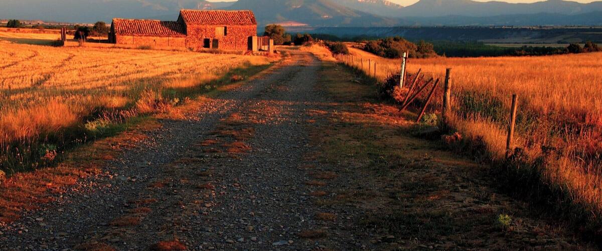 The beautiful amber light of dawn over the bucolic Aragona.
#caminodesantiago
DAY 3 - RUESTA http://www.endoftherainbow.net/blogita/giorno5km53ruesta