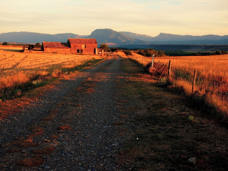 The beautiful amber light of dawn over the bucolic Aragona.
#caminodesantiago
DAY 3 - RUESTA http://www.endoftherainbow.net/blogita/giorno5km53ruesta