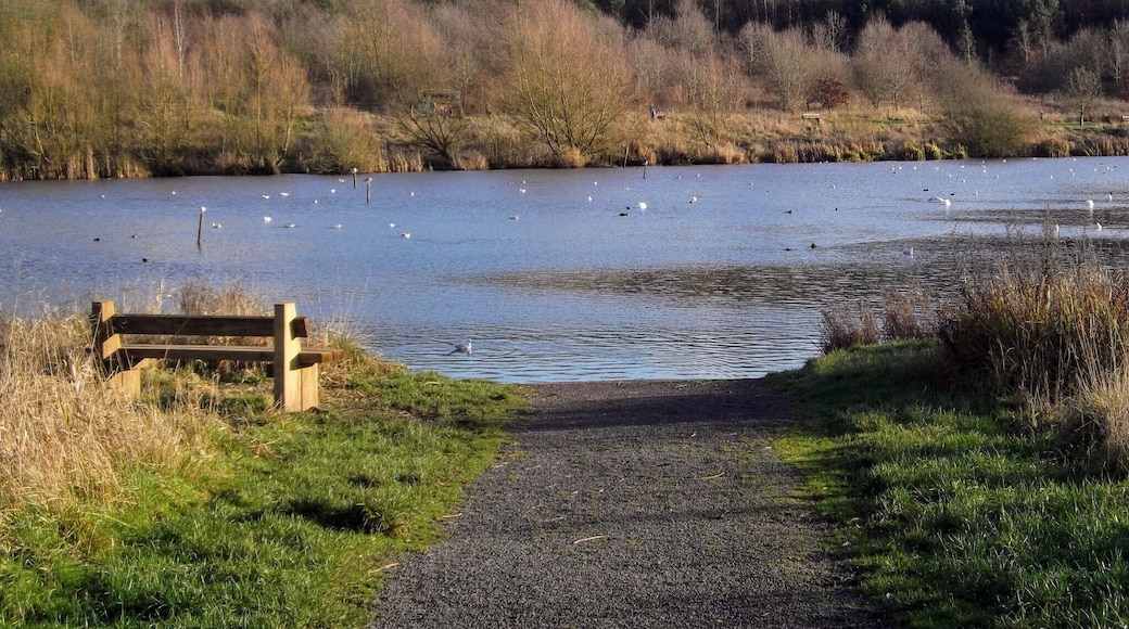 Sence valley, Ibstock. #takeahike