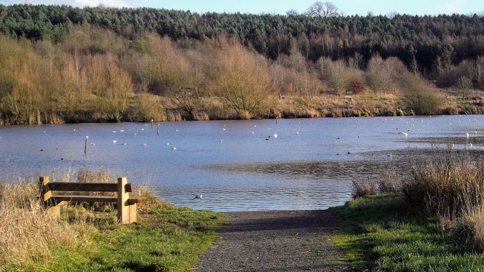 Sence valley, Ibstock. #takeahike