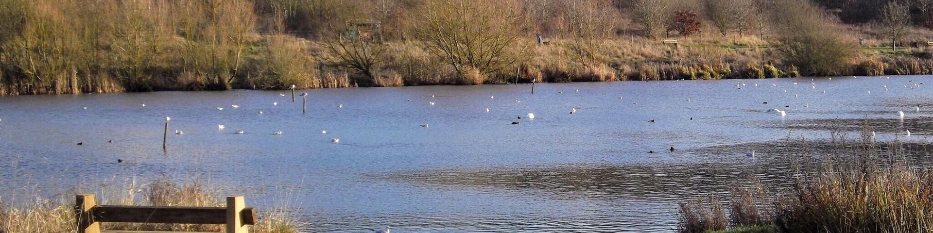 Sence valley, Ibstock. #takeahike