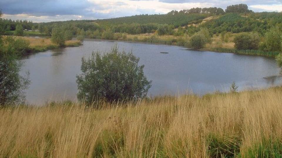 Horseshoe Lake Looking north over this bow-shaped lake at the centre of the forest park.